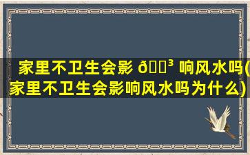 家里不卫生会影 🌳 响风水吗(家里不卫生会影响风水吗为什么)